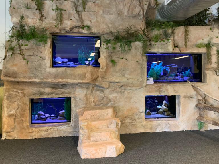 multiple aquariums